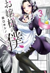 Ojousama no Shimobe